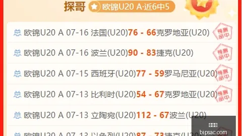 爱游戏 110020 9